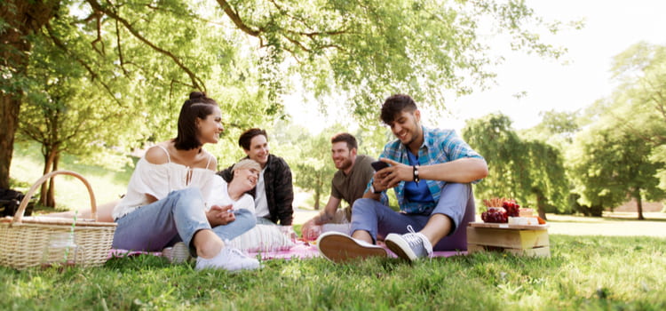 a family enjoys a picnic in a sunny and green park