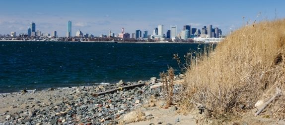 view of boston city skyline from spectacle island in boston harbor