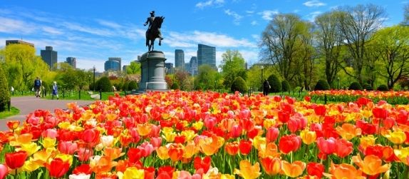 public garden in boston